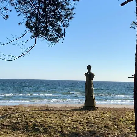 Duene 11 Binz